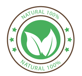 PLAN ACTIONS TO APPROACH RISKS AND OPPORTUNITIES