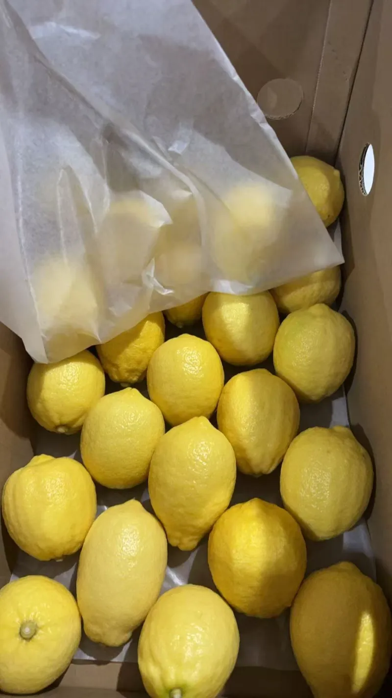 Fresh Fruit B2B Export | Professional China Supplier